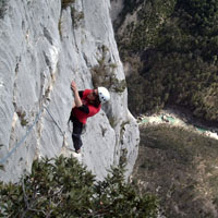 A Tout Coeur 6b Photo: A Tout Coeur 6b